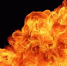 Фото: fluke samed/Shutterstock/Fotodom - Ямал-Медиа