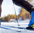 Фото: Parilov/Shutterstock/Fotodom - Ямал-Медиа