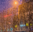 Фото: Anna Krivitskaya/Shutterstock/Fotodom - Ямал-Медиа