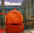 Фото: Nok Lek Travel Lifestyle/Shutterstock/Fotodom - Ямал-Медиа