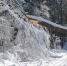 Фото: DejaVuDesigns/Shutterstock/Fotodom - Ямал-Медиа