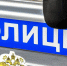 Фото: FotograFFF/Shutterstock/Fotodom - Ямал-Медиа