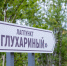 Фото: Федор Воронов/«Ямал-Медиа» - Ямал-Медиа