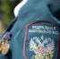 Сотрудники налоговых органов РФ принимают поздравления - МО Ямальский район