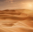 Фото: Atif Mahmud/Shutterstock/Fotodom - Ямал-Медиа