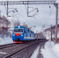 Фото: Locomotive74/Shutterstock/Fotodom - Ямал-Медиа