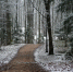 Фото: nadia_if/Shutterstock/Fotodom - Ямал-Медиа