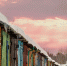 Фото: Vereshchagin Dmitry/Shutterstock/Fotodom - Ямал-Медиа