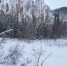 Фото: Mikhail Cheremkin/Shutterstock/Fotodom - Ямал-Медиа