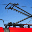 Фото: gerd-harder/Shutterstock/Fotodom - Ямал-Медиа