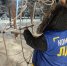img - ЛДПР