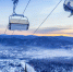 Фото: YRABOTA/Shutterstock/Fotodom - Ямал-Медиа