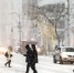 Фото: NYC Russ/Shutterstock/Fotodom - Ямал-Медиа