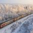 Фото: t.me/skzd_official - Ямал-Медиа