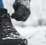 Фото: BLACKDAY/Shutterstock/Fotodom - Ямал-Медиа