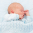 Фото: FamVeld/Shutterstock/Fotodom - Ямал-Медиа