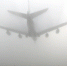 Фото: Fasttailwind/Shutterstock/Fotodom - Ямал-Медиа