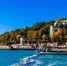 Фото: Newlander90/Shutterstock/Fotodom - Ямал-Медиа