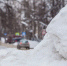 Фото: Andrey Safonov/Shutterstock/Fotodom - Ямал-Медиа