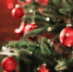 Фото: Pasko Maksim/Shutterstock/Fotodom - Ямал-Медиа