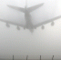 Фото: Fasttailwind/Shutterstock/Fotodom - Ямал-Медиа