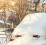 Фото: K-FK/Shutterstock/Fotodom - Ямал-Медиа