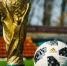 Фото: fifg/Shutterstock/Fotodom - Ямал-Медиа