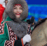Фото: Александр Чирва/«Ямал-Медиа» - Ямал-Медиа