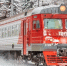 Фото: alenka2194/Shutterstock/Fotodom - Ямал-Медиа