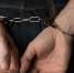 Фото: fotobubas/Shutterstock/Fotodom - Ямал-Медиа