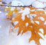 Фото: LedyX/Shutterstock/Fotodom - Ямал-Медиа