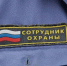 Фото: Vladlena M/Shutterstock/Fotodom - Ямал-Медиа