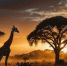 Фото: Al-sarori/Shutterstock/Fotodom - Ямал-Медиа