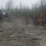 В Лабытнанги потушили пожар на мусорной свалке - Комсомольская Правда