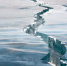 Фото: oleshko andrey/Shutterstock/Fotodom - Ямал-Медиа