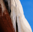 Фото: Фёдор Воронов/АНО «Ямал-Медиа» - Ямал-Медиа
