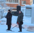 img - ЛДПР