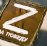 Фото: mr_tigga/Shutterstock/Fotodom - Ямал-Медиа