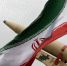 Фото: Mohasseyn/Shutterstock/Fotodom - Ямал-Медиа