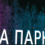 Фото: Федор Воронов/«Ямал-Медиа» - Ямал-Медиа