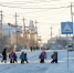 Фото: Федор Воронов/«Ямал-Медиа» - Ямал-Медиа