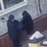 Кадр видео УМВД России по Амурской области - Ямал-Медиа