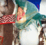 img - ЛДПР