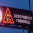 Фото: Фёдор Воронов / «Ямал-Медиа» - Красный Север