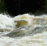 Фото: Scandphoto/Shutterstock/Fotodom - Ямал-Медиа