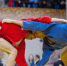 Фото: Mirt Alexander/Shutterstock/Fotodom - Ямал-Медиа