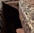 Фото:SKR Digitall/Shutterstock/Fotodom - Ямал-Медиа