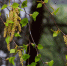 Фото:olko1975/Shutterstock/Fotodom - Ямал-Медиа