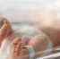 Фото: Gorodenkoff/Shutterstock/Fotodom - Ямал-Медиа
