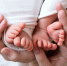 Фото: Irina Zharkova31/Shutterstock/Fotodom - Ямал-Медиа